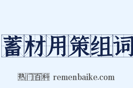 蓄材用策组词是什么意思的图片